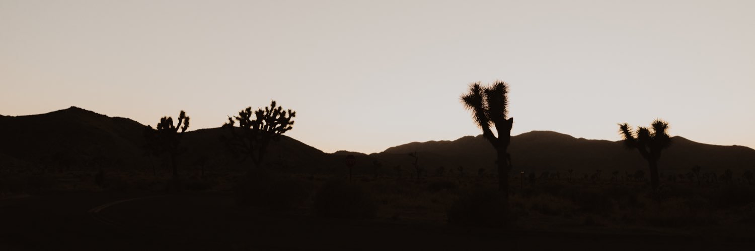 bhous23's profile banner image