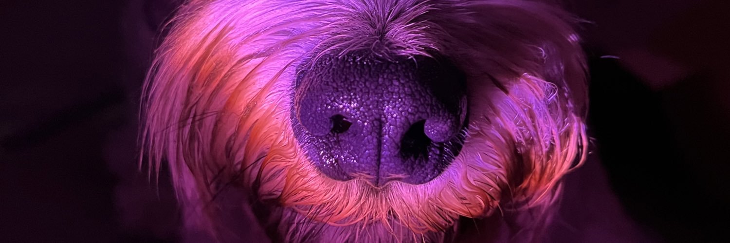 Metas_MB's profile banner image