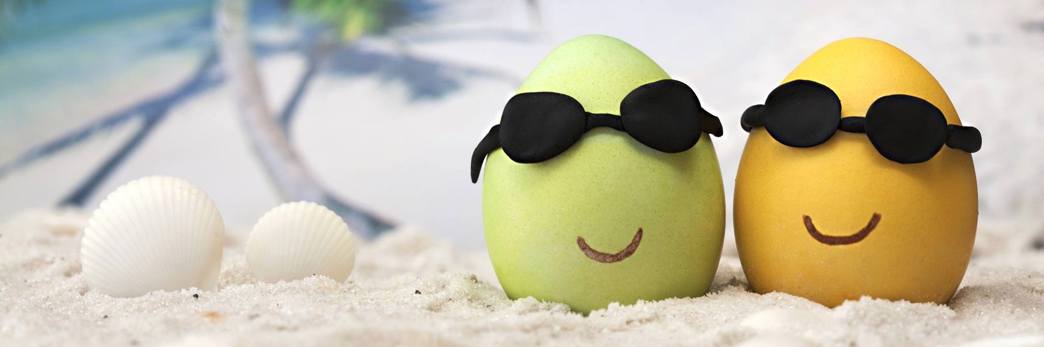 holiday_with_us's profile banner image