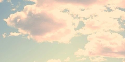 daon_share's profile banner image