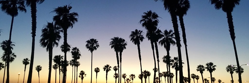 shley_lynn's profile banner image
