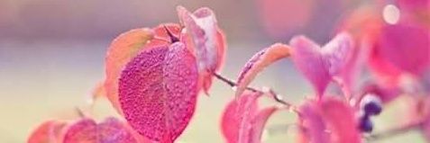 Pumaa92's profile banner image