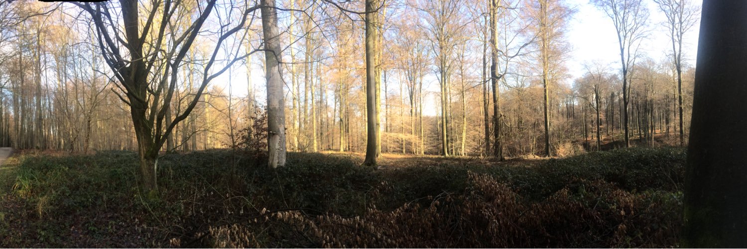 Andrés Contreras banner