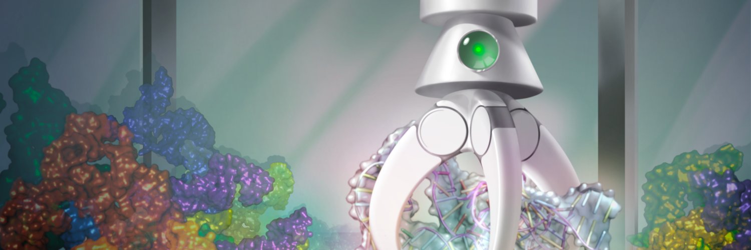 Raphael Townshend banner