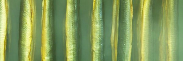 SevernWye Profile Banner