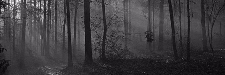 Jade Frimon banner