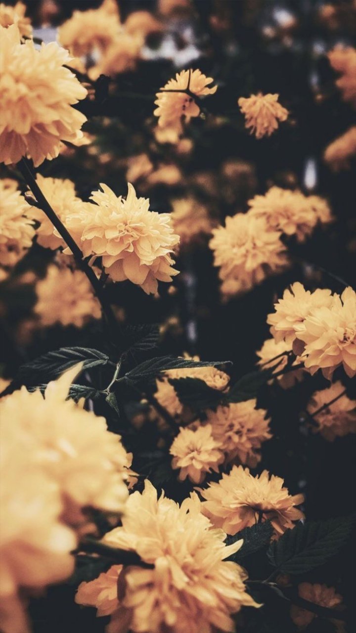 dita_farahdita7's profile banner image