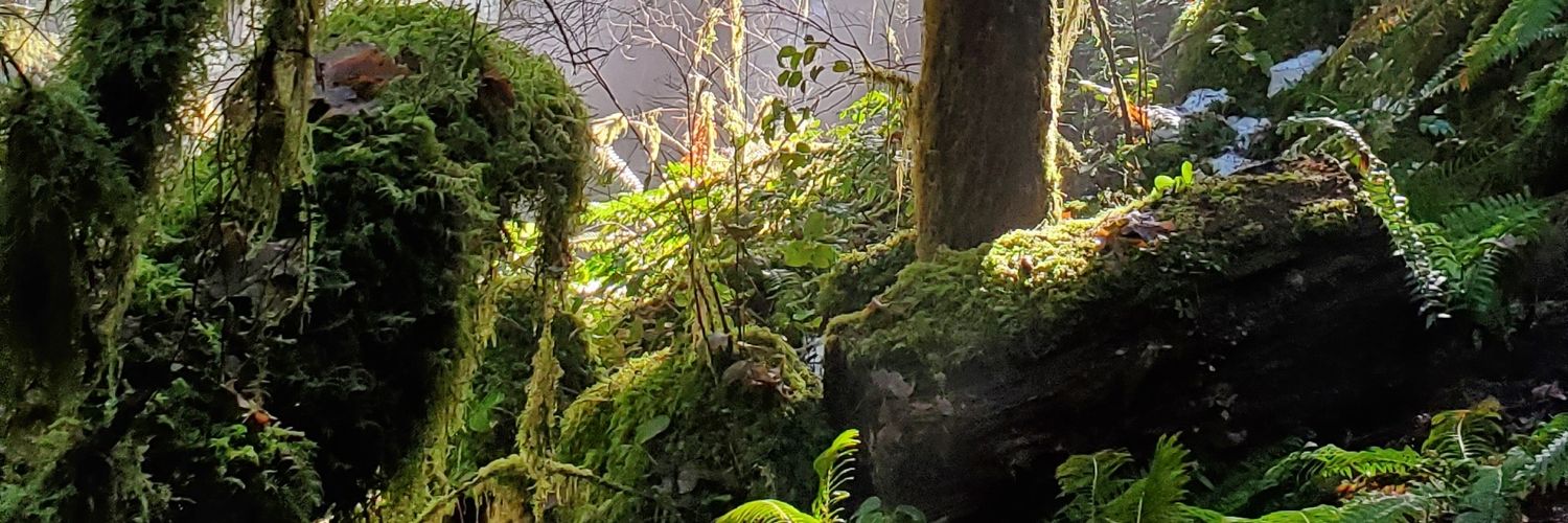 prouddadfour's profile banner image