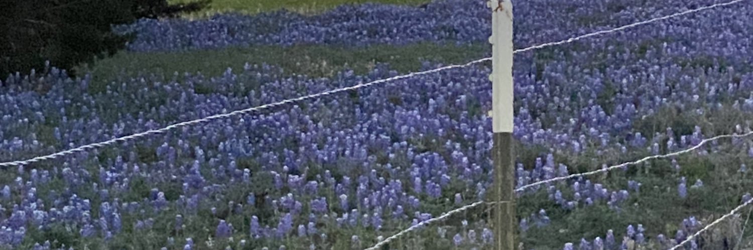 Jennifer S. Gates banner