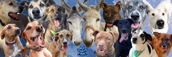 ArcadeNoeSevill Profile Banner