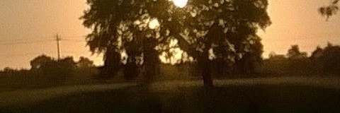 IrishMisFit209's profile banner image