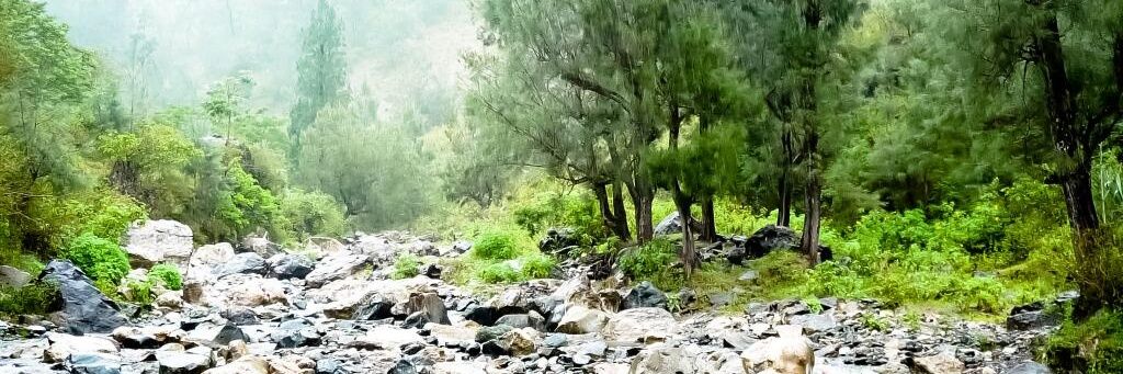 muchtar_waee's profile banner image