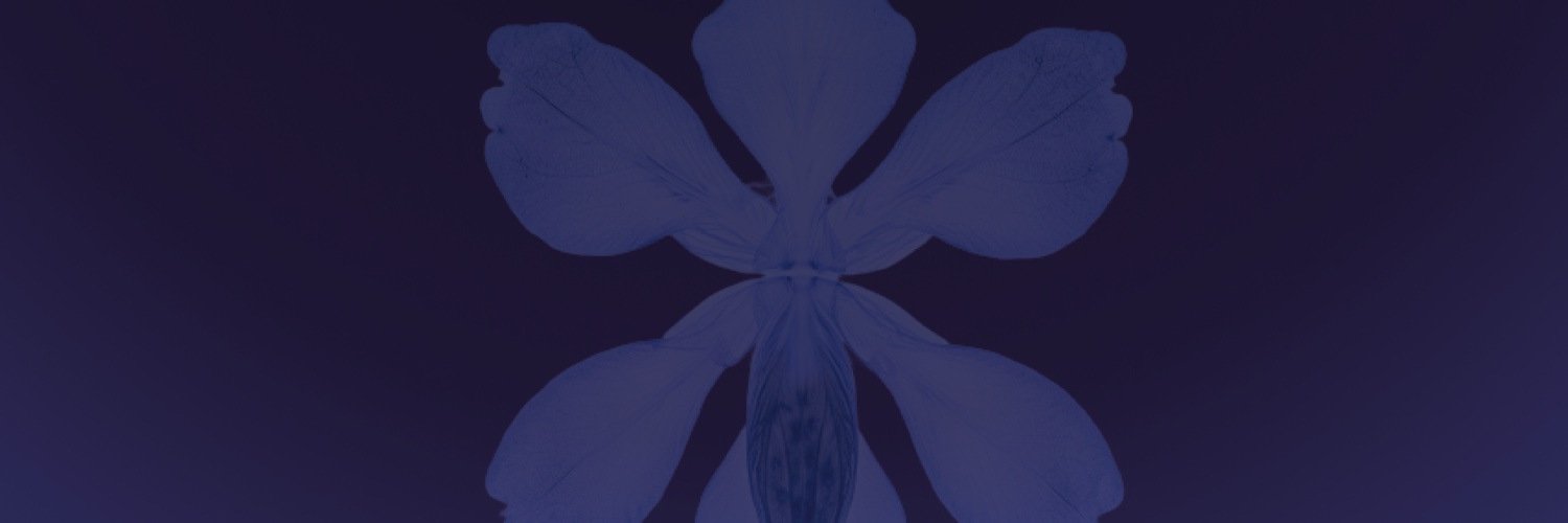 Nicole Daedone banner