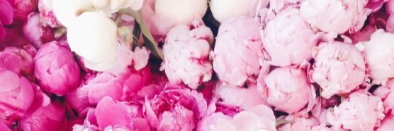 clairestrother4's profile banner image