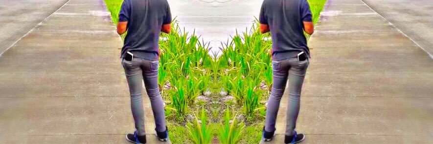 lookitslaniel's profile banner image