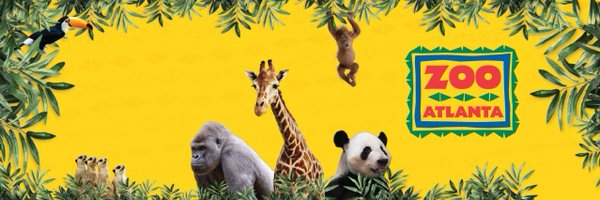 ZooATL Profile Banner