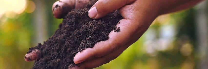 CannaSolFarms's profile banner image