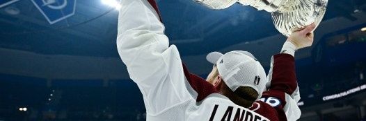 Avalanche Forever banner