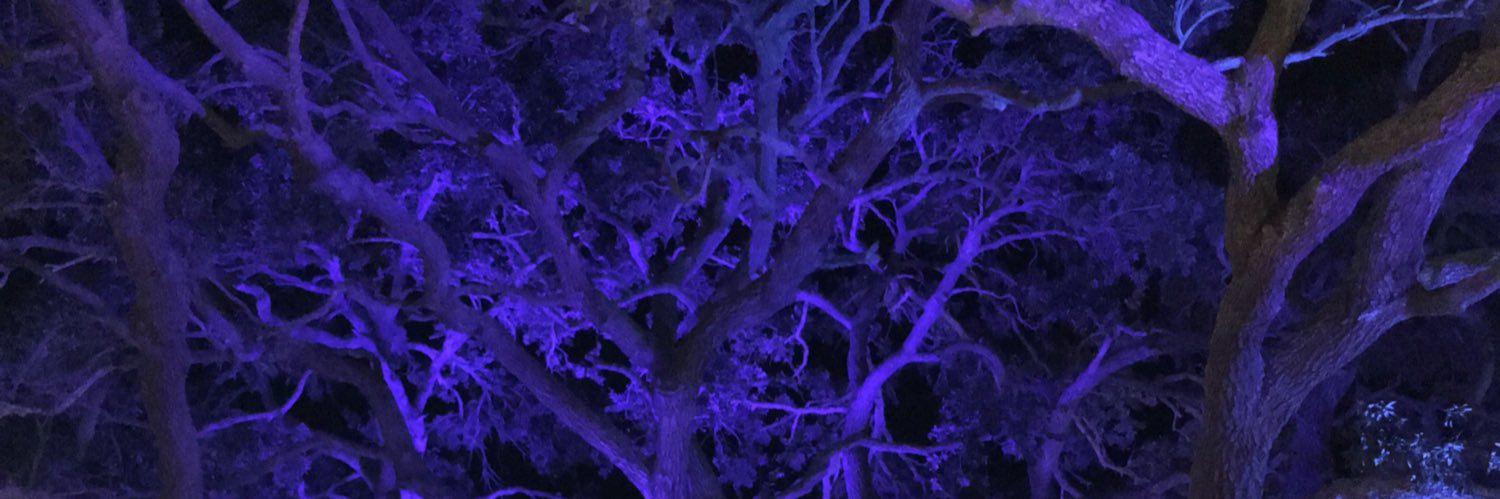KellysChicABoom's profile banner image
