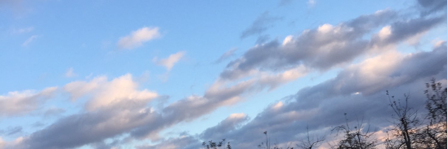 oliviaemlet1000's profile banner image