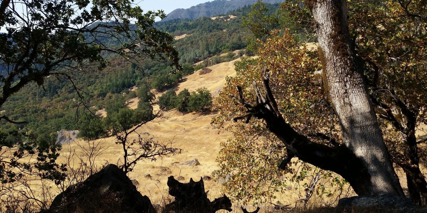 TeamLanduse's profile banner image