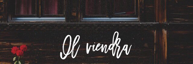 nooellaK's profile banner image