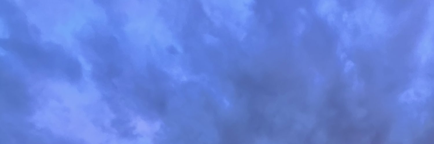 FabienPizar's profile banner image