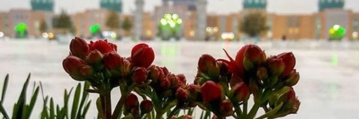 Z313Kas's profile banner image