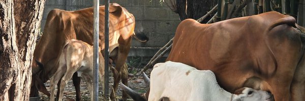 ArchitectRupa Profile Banner