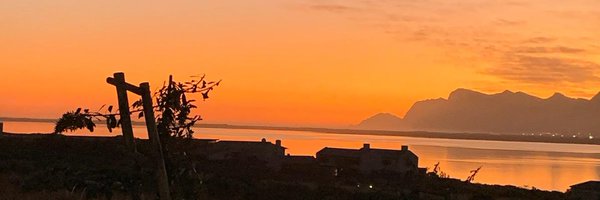 NatalieOrigo Profile Banner