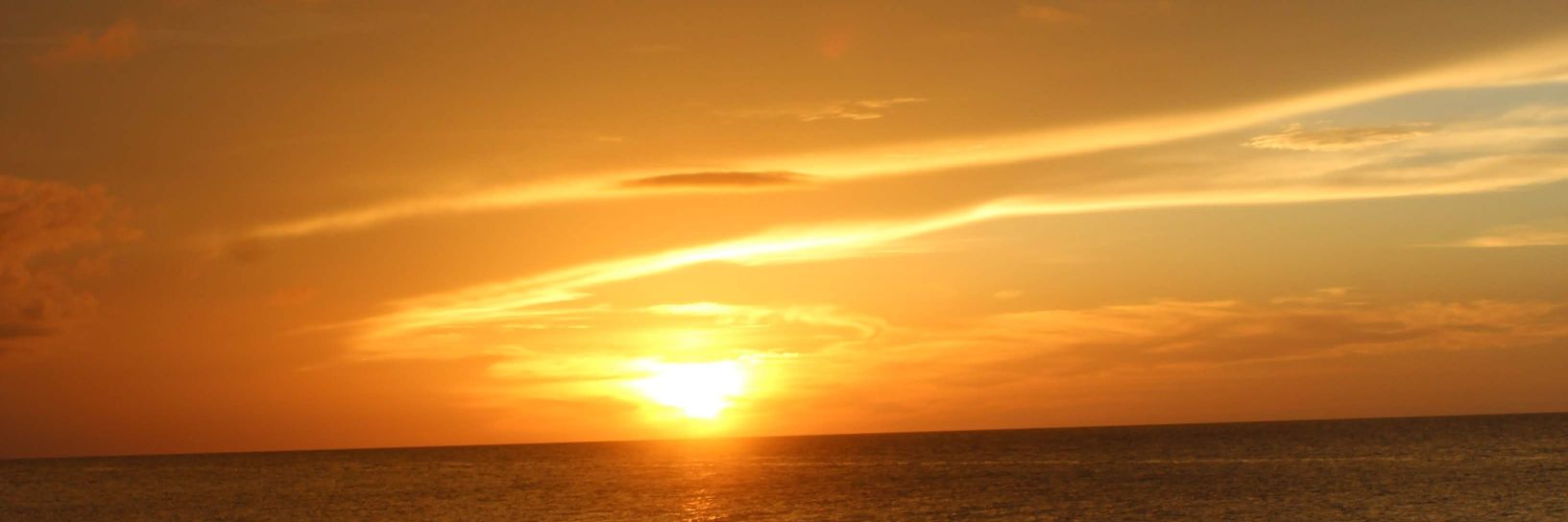 BaileyannMango's profile banner image