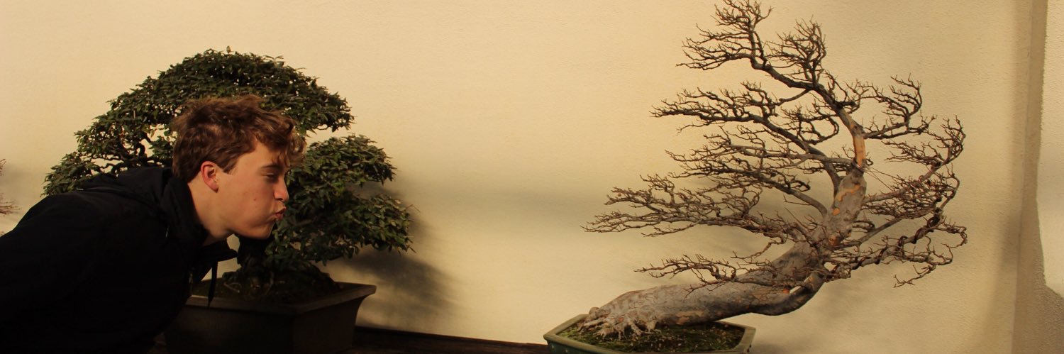 cocothecolbs's profile banner image