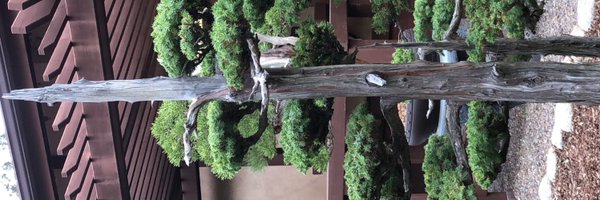 adam2392 Profile Banner