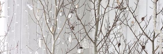 ® banner