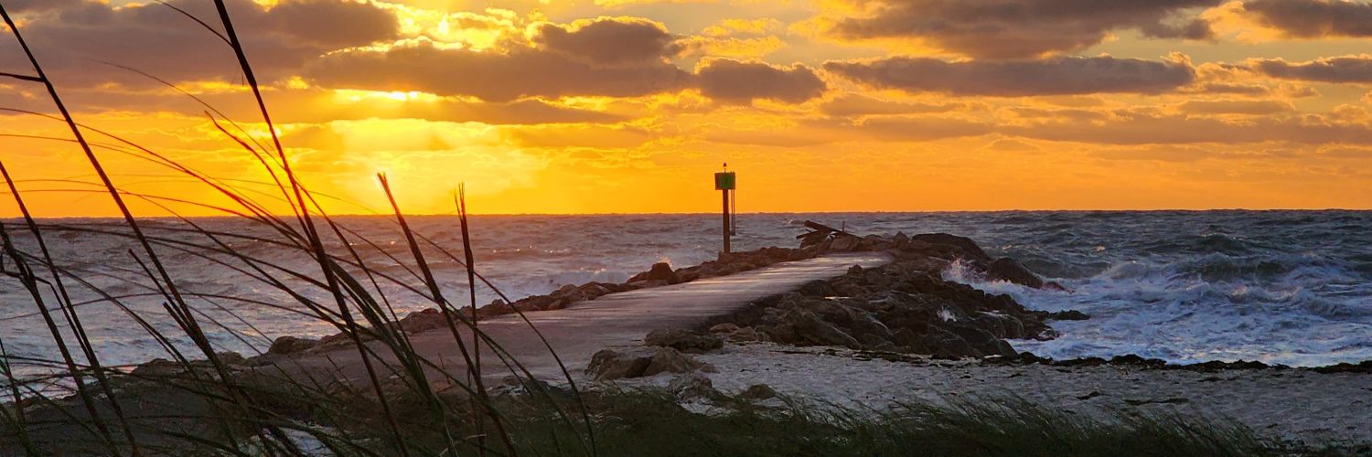 Southernmerbabe's profile banner image