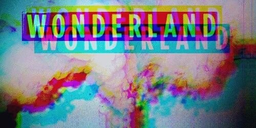 weeklyfraud_'s profile banner image