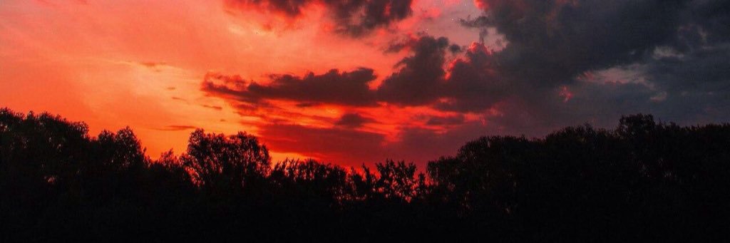 Sensei_Needham's profile banner image