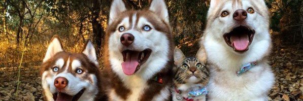 ppp_ooo_pp's profile banner image
