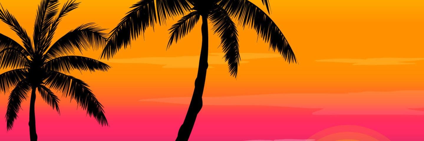 varitoiskar's profile banner image