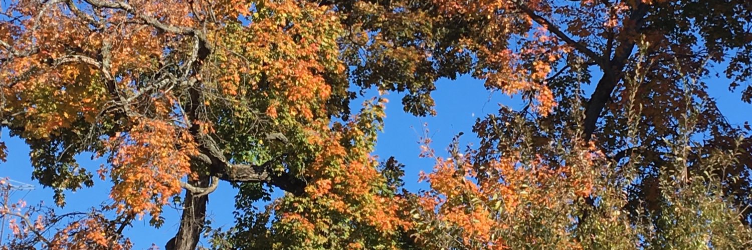 42kiltie's profile banner image