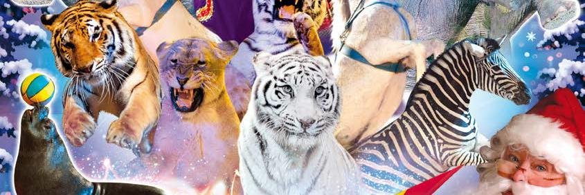 CirqueMedrano's profile banner image