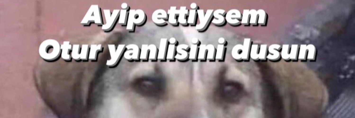 hacerciritt's profile banner image