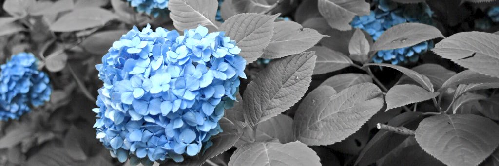 rn0ya5h1's profile banner image