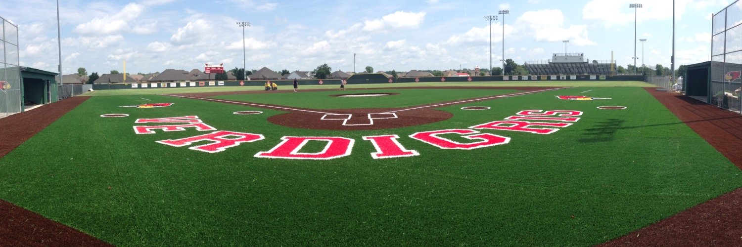 Verdigris Baseball banner
