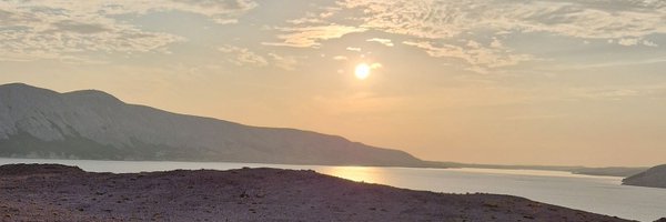 Pet_Kod Profile Banner