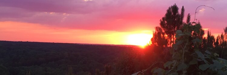 _kathrynjackson's profile banner image