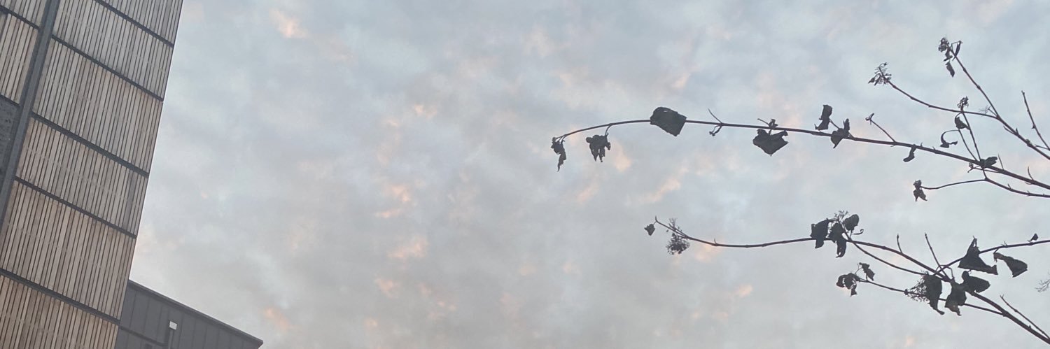 kaylavo_'s profile banner image