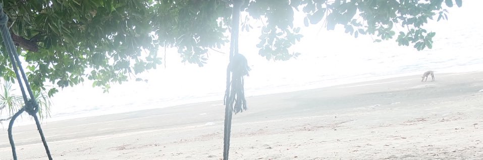 ทานตะวัน 🌻 banner