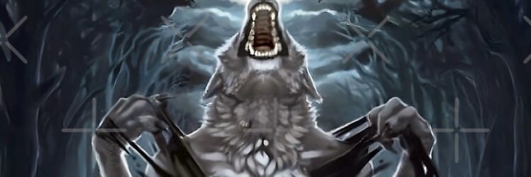 styIescraper's profile banner image