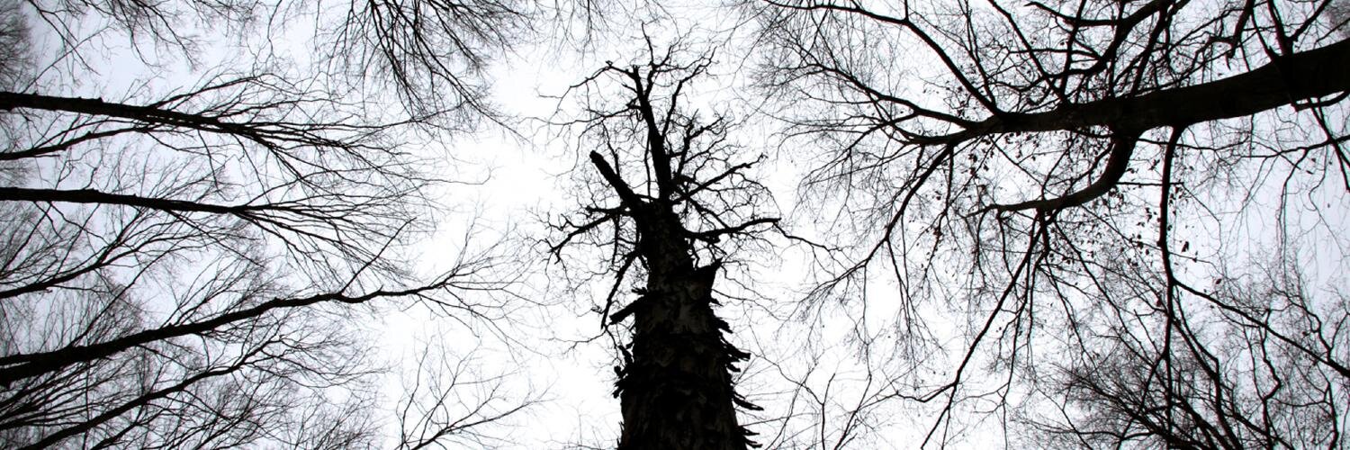 horrorchannel's profile banner image